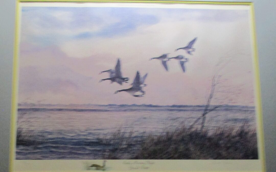 Federal Duck Stamp Collection