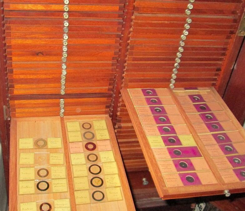 Microscopical Slide Cabinet